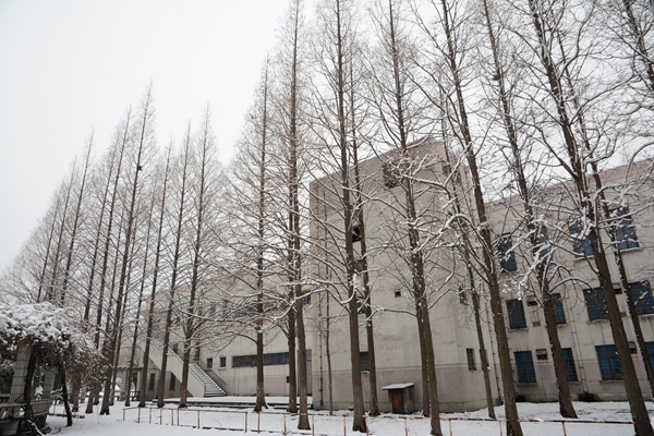 校园雪景