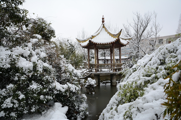 校园雪景