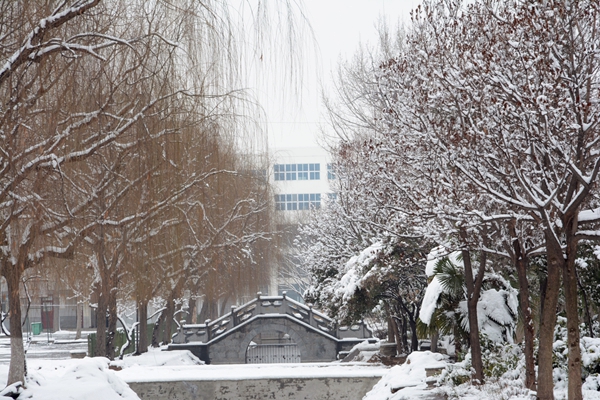 校园雪景